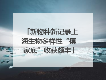 新物种新记录上海生物多样性“摸家底”收获颇丰