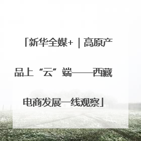 新华全媒+｜高原产品上“云”端——西藏电商发展一线观察