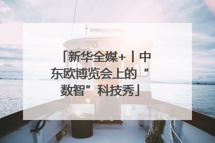 新华全媒+丨中东欧博览会上的“数智”科技秀