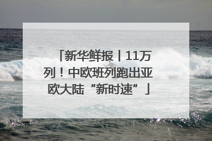 新华鲜报丨11万列！中欧班列跑出亚欧大陆“新时速”