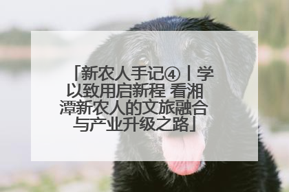 新农人手记④丨学以致用启新程 看湘潭新农人的文旅融合与产业升级之路