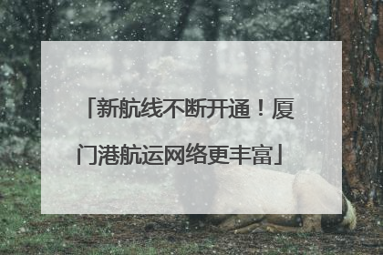 新航线不断开通！厦门港航运网络更丰富