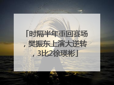 时隔半年重回赛场，樊振东上演大逆转，3比2徐瑛彬