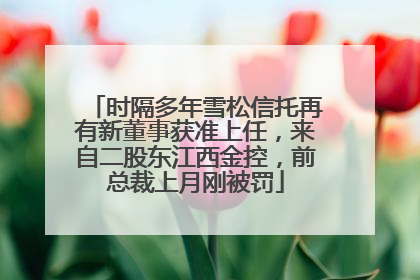 时隔多年雪松信托再有新董事获准上任，来自二股东江西金控，前总裁上月刚被罚