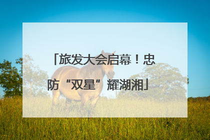 旅发大会启幕！忠防“双星”耀湖湘