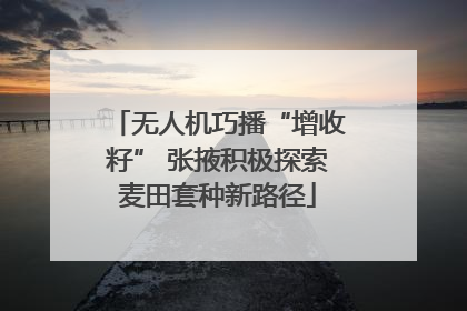 无人机巧播“增收籽” 张掖积极探索麦田套种新路径