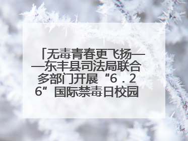 无毒青春更飞扬——东丰县司法局联合多部门开展“6．26”国际禁毒日校园宣讲活动