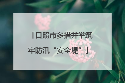 日照市多措并举筑牢防汛“安全堤”