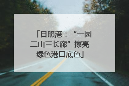 日照港：“一园二山三长廊”擦亮绿色港口底色