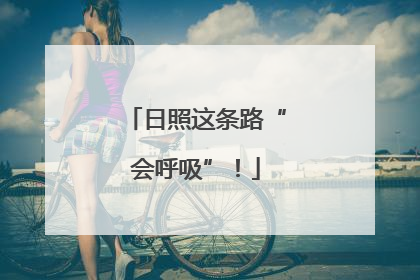 日照这条路“会呼吸”！