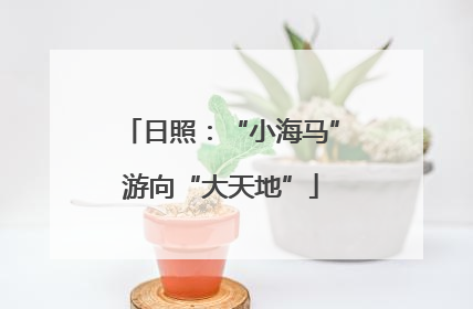日照：“小海马”游向“大天地”