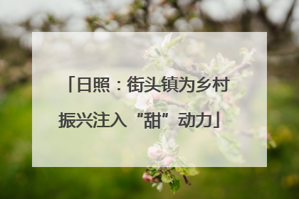 日照：街头镇为乡村振兴注入“甜”动力