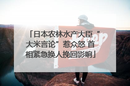 日本农林水产大臣“大米言论”惹众怒 首相紧急换人挽回影响