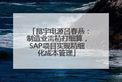 昆宇电源吕春燕：制造业需精打细算，SAP项目实现精细化成本管理