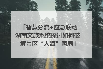 智慧分流+应急联动 湖南文旅系统探讨如何破解景区“人海”困局