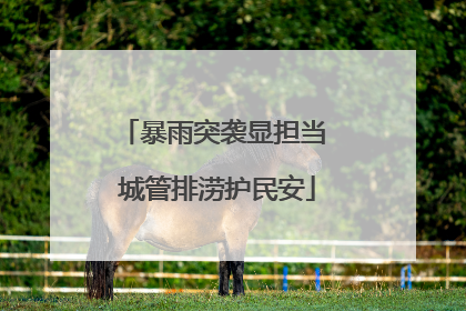 暴雨突袭显担当 城管排涝护民安