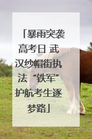 暴雨突袭高考日 武汉纱帽街执法“铁军”护航考生逐梦路