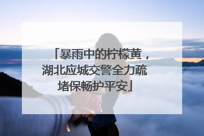 暴雨中的柠檬黄，湖北应城交警全力疏堵保畅护平安
