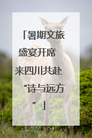 暑期文旅盛宴开席 来四川共赴“诗与远方”