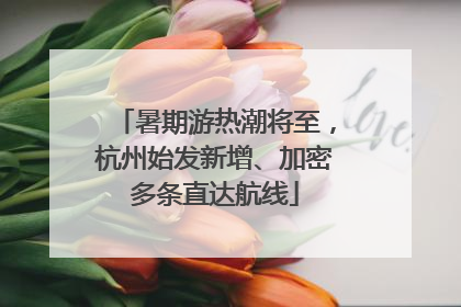 暑期游热潮将至，杭州始发新增、加密多条直达航线