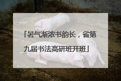 暑气渐浓书韵长，省第九届书法高研班开班