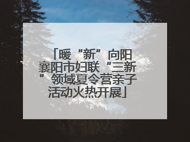 暖“新”向阳 襄阳市妇联“三新”领域夏令营亲子活动火热开展