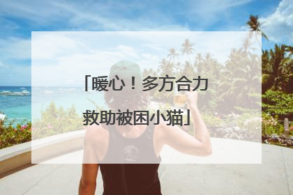 暖心!多方合力救助被困小猫