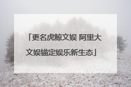 更名虎鲸文娱 阿里大文娱锚定娱乐新生态