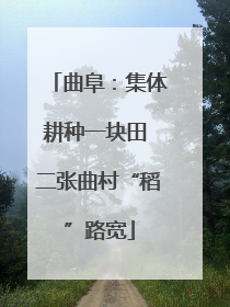 曲阜：集体耕种一块田 二张曲村“稻”路宽