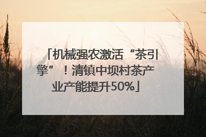 机械强农激活“茶引擎”！清镇中坝村茶产业产能提升50%