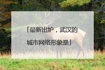 最新出炉，武汉的城市网络形象是