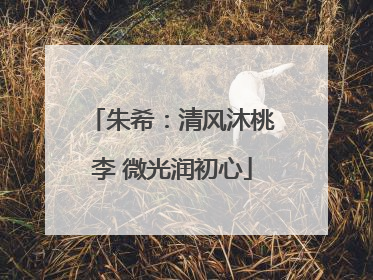 朱希：清风沐桃李 微光润初心