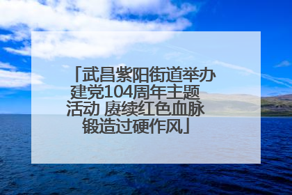 武昌紫阳街道举办建党104周年主题活动 赓续红色血脉锻造过硬作风