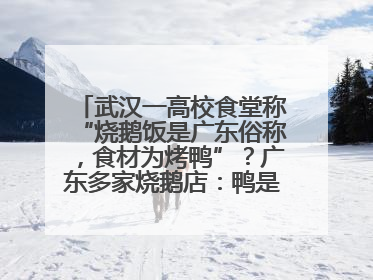 武汉一高校食堂称“烧鹅饭是广东俗称，食材为烤鸭”？广东多家烧鹅店：鸭是鸭鹅是鹅