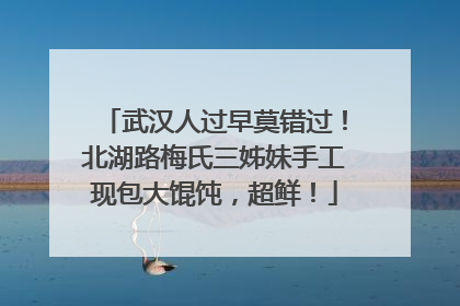 武汉人过早莫错过！北湖路梅氏三姊妹手工现包大馄饨，超鲜！
