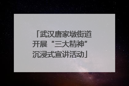 武汉唐家墩街道开展“三大精神”沉浸式宣讲活动