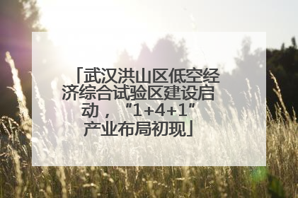 武汉洪山区低空经济综合试验区建设启动，“1+4+1”产业布局初现