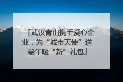 武汉青山携手爱心企业，为“城市天使”送端午暖“新”礼包