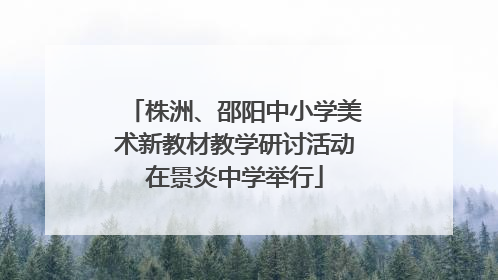 株洲、邵阳中小学美术新教材教学研讨活动在景炎中学举行
