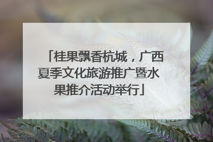 桂果飘香杭城，广西夏季文化旅游推广暨水果推介活动举行
