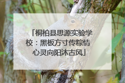 桐柏县思源实验学校：黑板方寸传粽情 心灵向阳沐古风