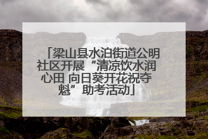 梁山县水泊街道公明社区开展“清凉饮水润心田 向日葵开花祝夺魁”助考活动