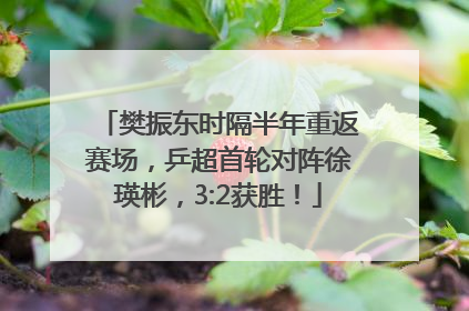 樊振东时隔半年重返赛场，乒超首轮对阵徐瑛彬，3:2获胜！