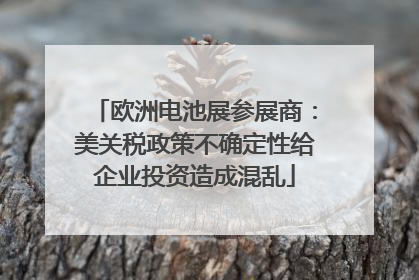 欧洲电池展参展商：美关税政策不确定性给企业投资造成混乱