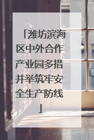 潍坊滨海区中外合作产业园多措并举筑牢安全生产防线