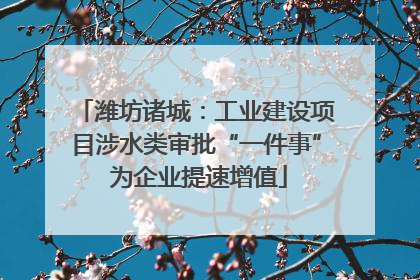 潍坊诸城：工业建设项目涉水类审批“一件事” 为企业提速增值