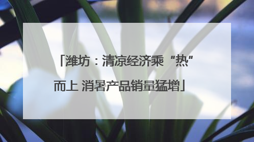 潍坊：清凉经济乘“热”而上 消暑产品销量猛增