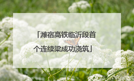潍宿高铁临沂段首个连续梁成功浇筑