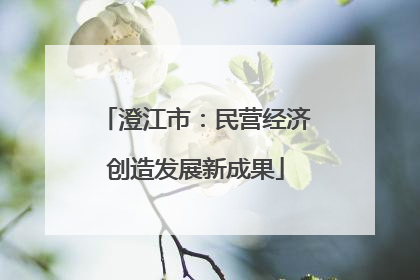 澄江市：民营经济创造发展新成果