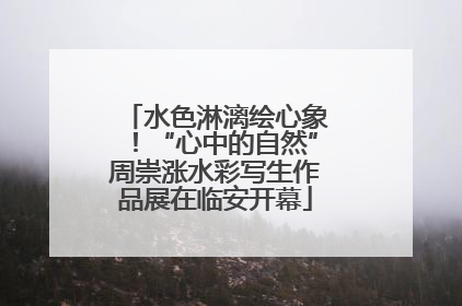 水色淋漓绘心象！“心中的自然”周崇涨水彩写生作品展在临安开幕